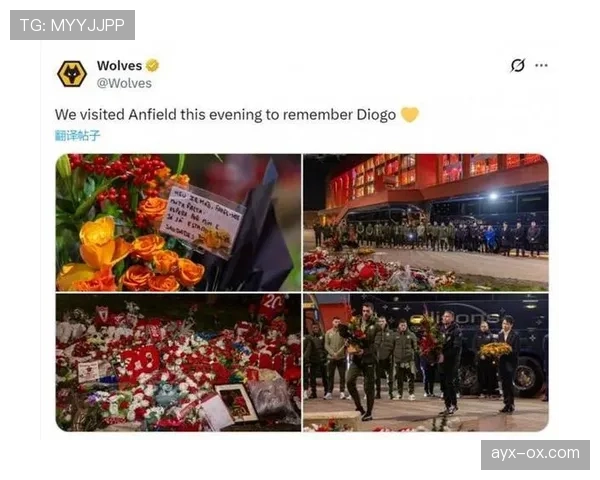 狼队新球场盛大开幕，开启球迷观赛新体验