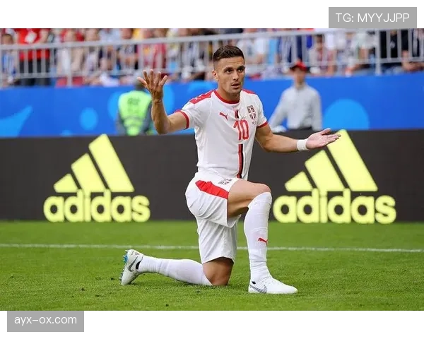 塔迪奇：团结与拼搏铸就世界杯梦想，塞尔维亚队长状态备受期待