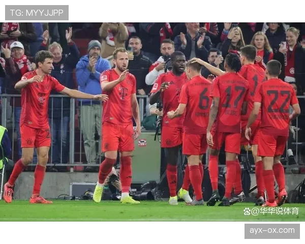 德甲转会市场新标准落地，球员流动趋势引多方关注