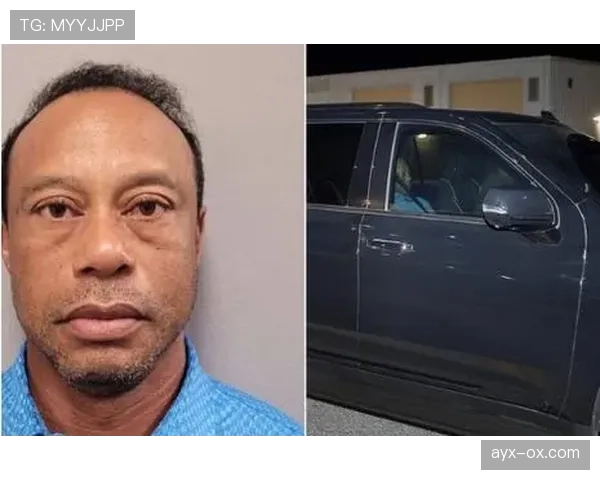 泰格·伍兹车库里的车比你家小区停车位还多