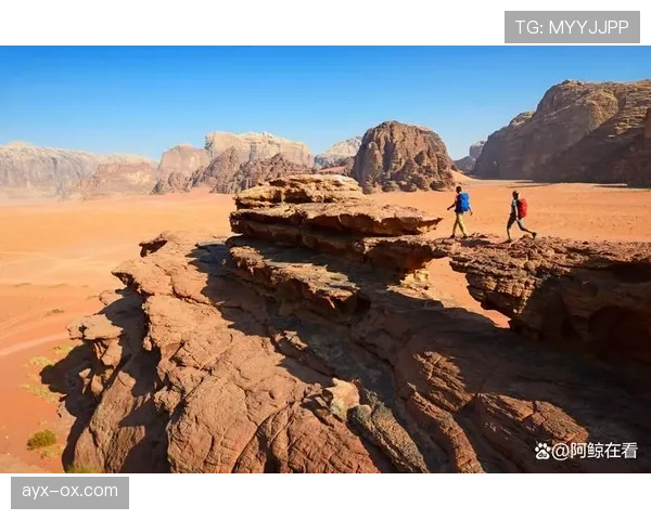 约旦最适合什么阵型